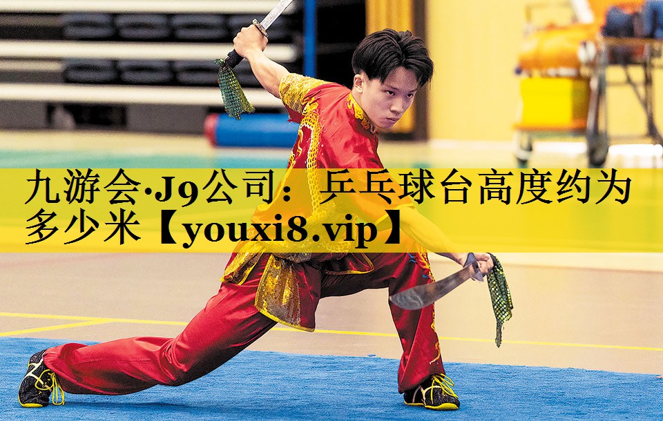 乒乓球台高度约为多少米