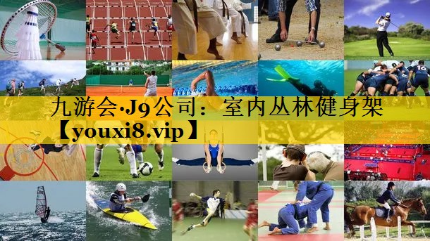 室内丛林健身架