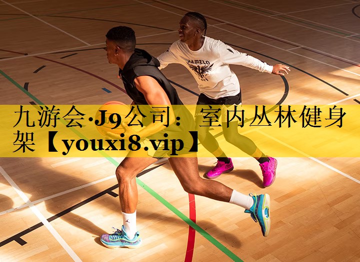 室内丛林健身架